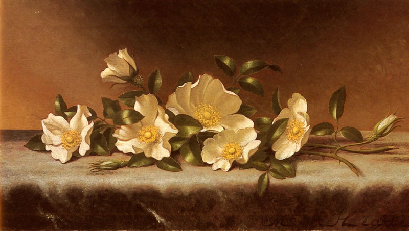 Roser Cherokee på lyst grått stoff - Martin Johnson Heade

Source:
Roses Cherokee sur un tissu gris clair - Martin Johnson Heade