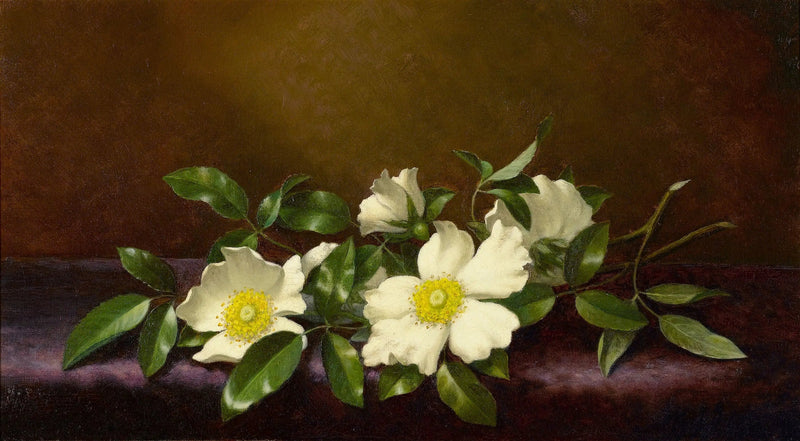 Roser Cherokee på et lilla stoff - Martin Johnson Heade

Source:
Roses Cherokee sur un tissu violet - Martin Johnson Heade