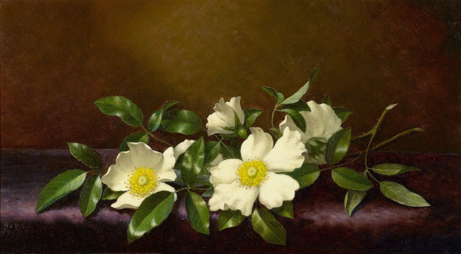 Roser Cherokee på et lilla stoff - Martin Johnson Heade

Source:
Roses Cherokee sur un tissu violet - Martin Johnson Heade