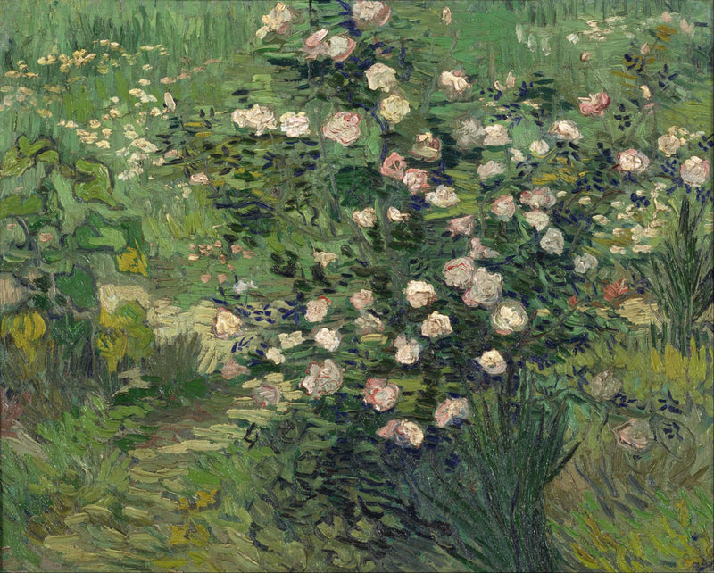 Roser - Vincent van Gogh