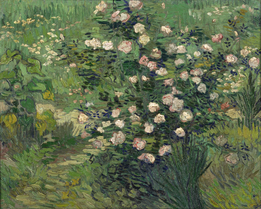 Roser - Vincent van Gogh