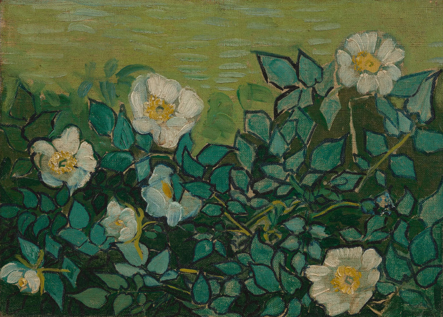 Villroser - Vincent van Gogh