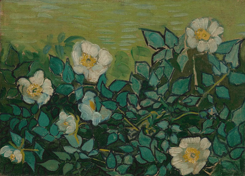 Villroser - Vincent van Gogh