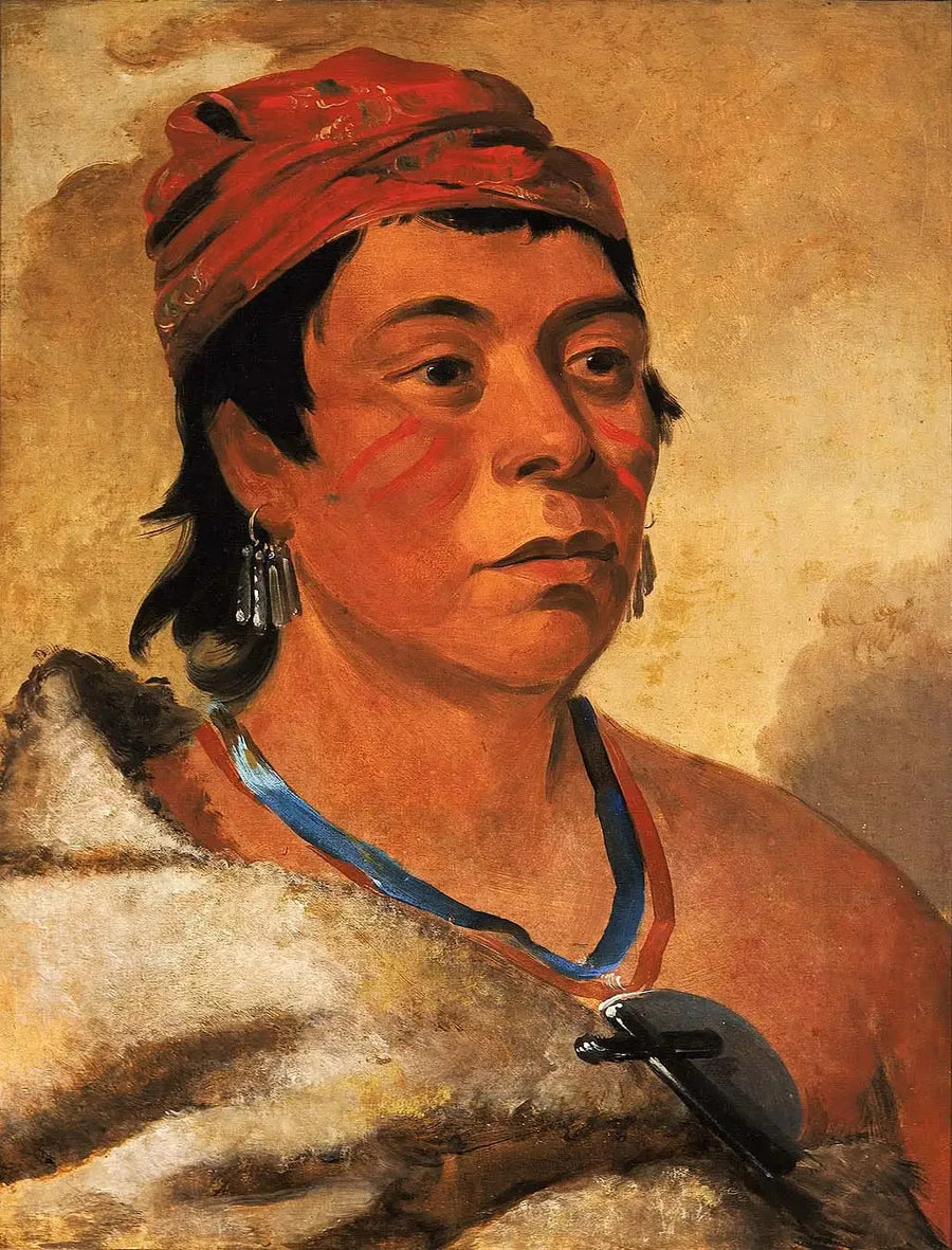 Rundøy, en kriger - George Catlin

Source:
Round Island, un guerrier - George Catlin