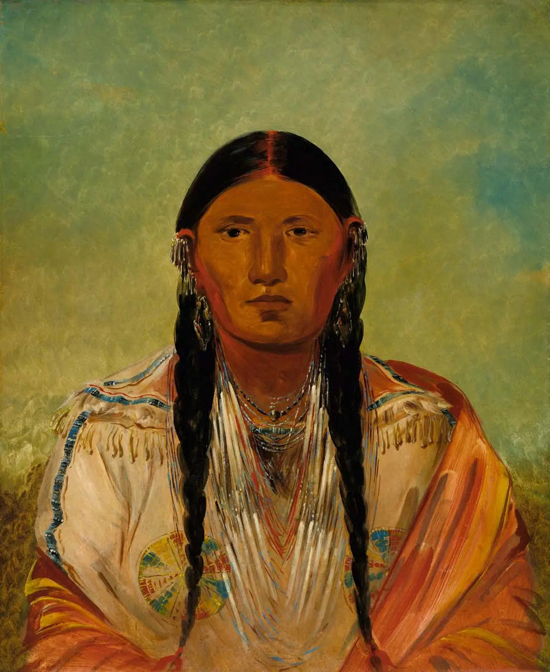 Ru-ton-wee-me, due på vingen - George Catlin

Source:
Ru-ton-wee-me, Pigeon sur l'aile - George Catlin