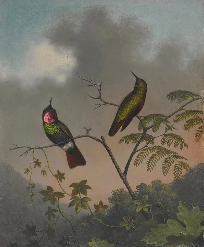 Brasiliansk rubin - Martin Johnson Heade

Source:
Rubis brésilien - Martin Johnson Heade