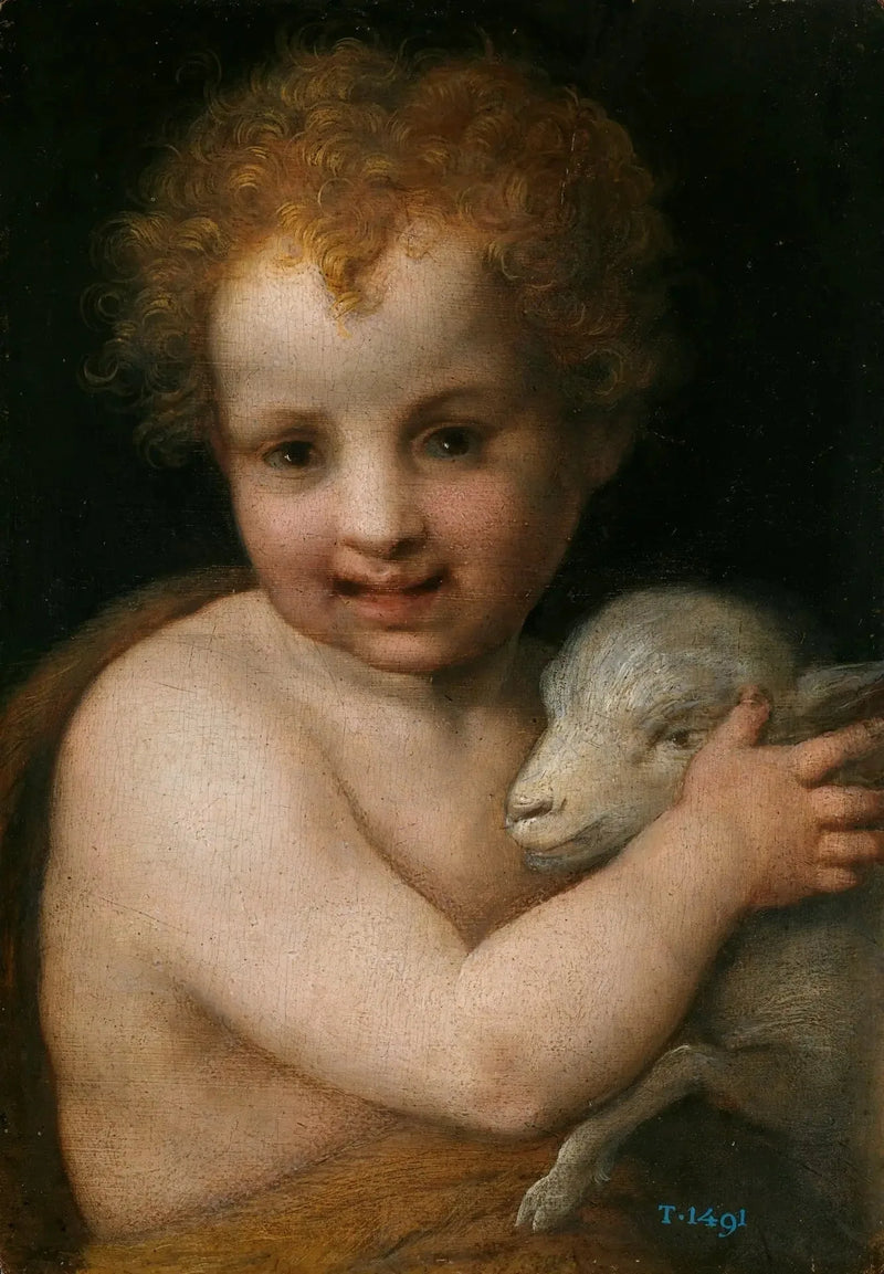 Saint Jean-Baptiste med Lammet - Andrea del Sarto