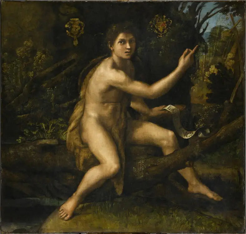 Sankt Johannes Døperen i ørkenen - Raphael Sanzio