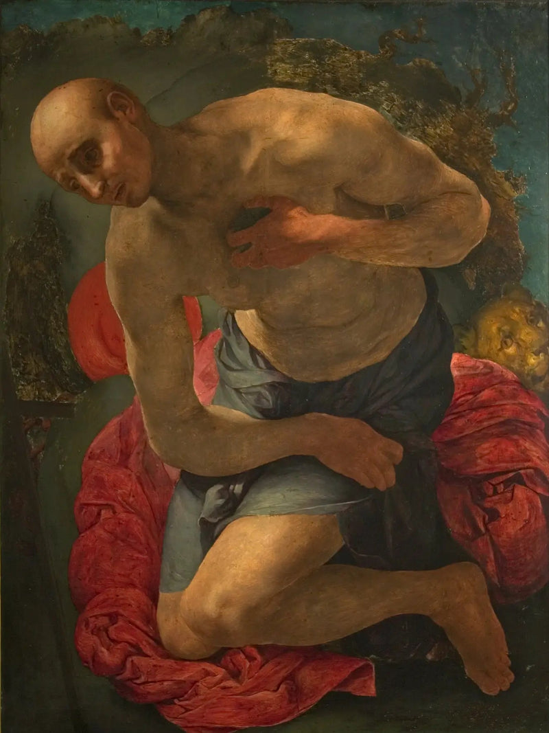 Den penitent Saint Jérôme - Pontormo