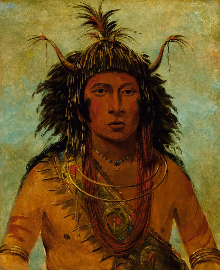 Say-say-gon, Haglstorm, Krigshøvding - George Catlin

Source:
Say-say-gon, Tempête de grêle, Chef de guerre - George Catlin
