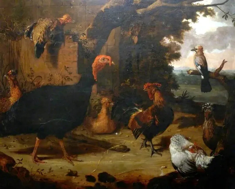 Gårds-scene, den svarte kalkunen - Melchior de Hondecoeter