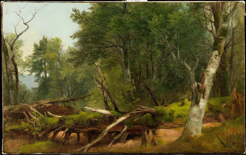 Skogscene i Catskills - Asher Brown Durand

Source:
Scène de forêt dans les Catskills - Asher Brown Durand