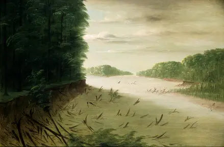 Scene fra den nedre Mississippi - George Catlin

Source:
Scène du Bas-Mississippi - George Catlin