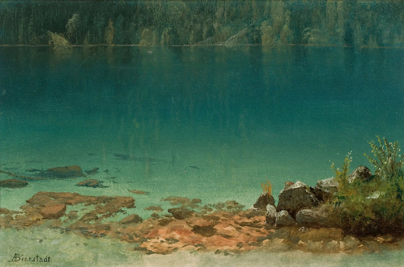 Sjøutsikt - Albert Bierstadt

Source:
Scène du lac - Albert Bierstadt
