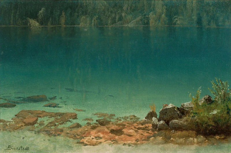Sjøutsikt - Albert Bierstadt

Source:
Scène du lac - Albert Bierstadt