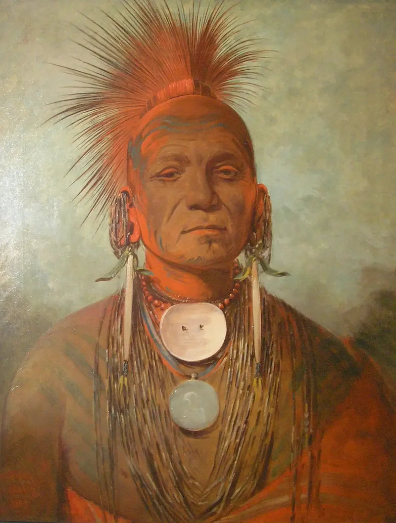 See-non-ty-a, en healer fra Iowa - George Catlin

Source:
See-non-ty-a, un guérisseur de l'Iowa - George Catlin