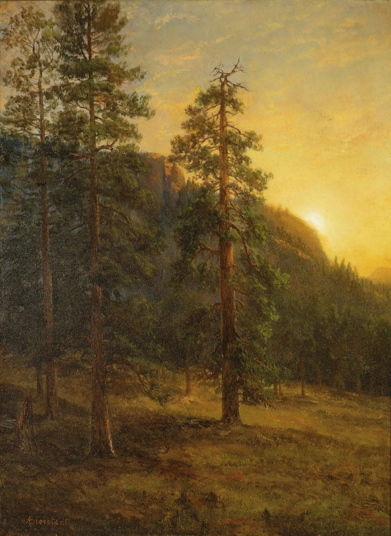Sequoiaer i California - Albert Bierstadt

Source:
Séquoias de Californie - Albert Bierstadt