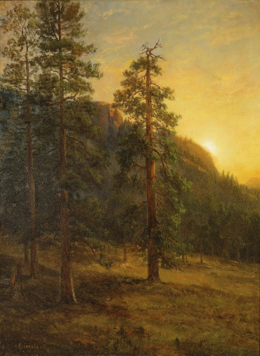 Sequoiaer i California - Albert Bierstadt

Source:
Séquoias de Californie - Albert Bierstadt