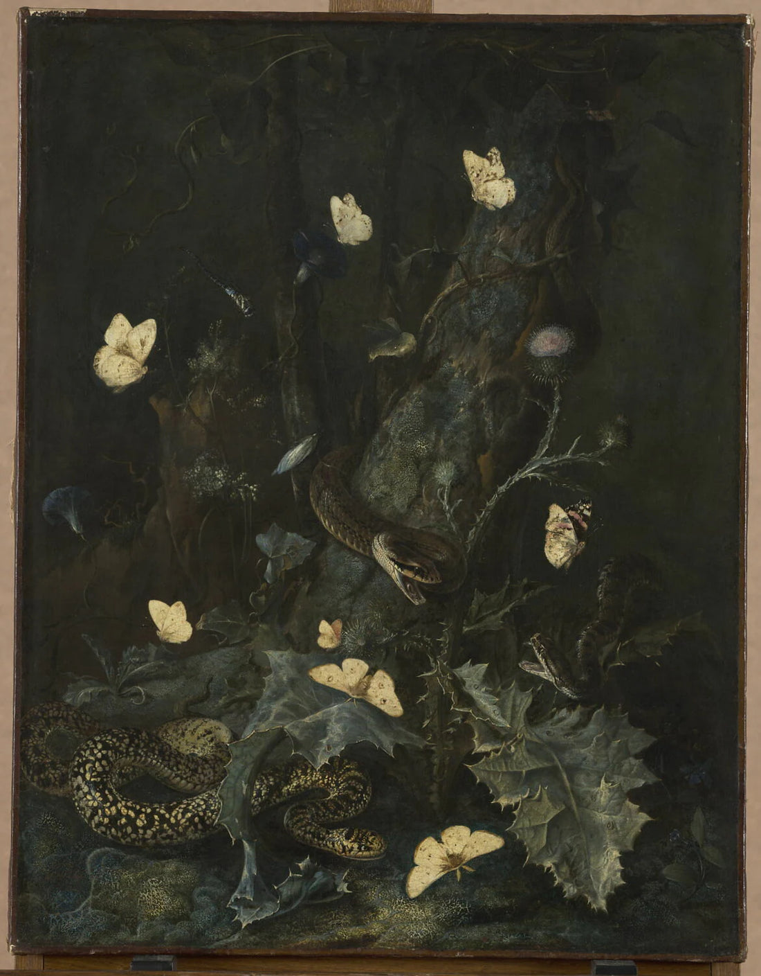 Serpents et papillons dans un sous-bois - Otto Marseus