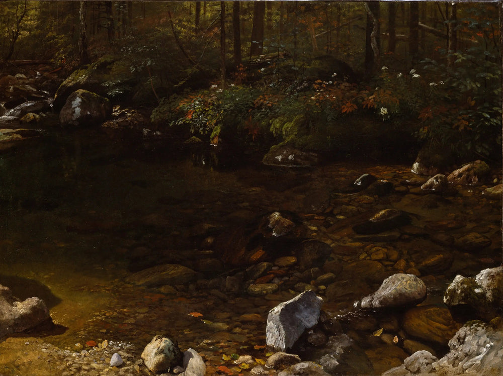 Shady Pool, White Mountains, New Hampshire - Albert Bierstadt image 1 copie de tableau peinte à la main