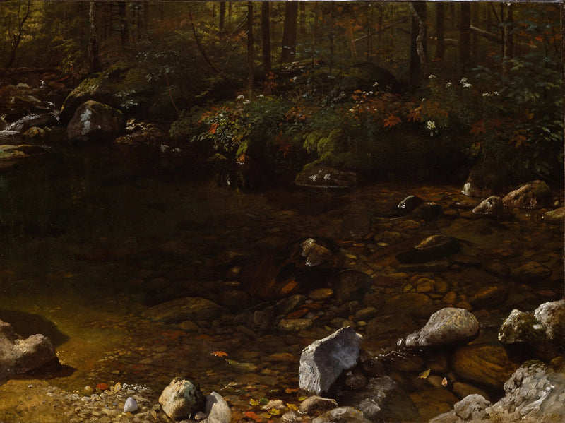 Skyggesvømmebasseng, Hvite fjell, New Hampshire - Albert Bierstadt

Source:
Shady Pool, White Mountains, New Hampshire - Albert Bierstadt