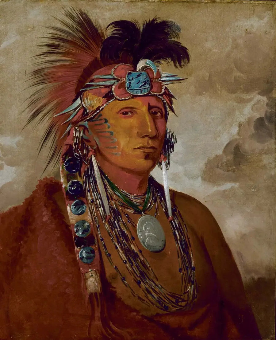Shó-me-kós-see, Ulven, en sjef - George Catlin

Source:
Shó-me-kós-see, Le loup, un chef - George Catlin