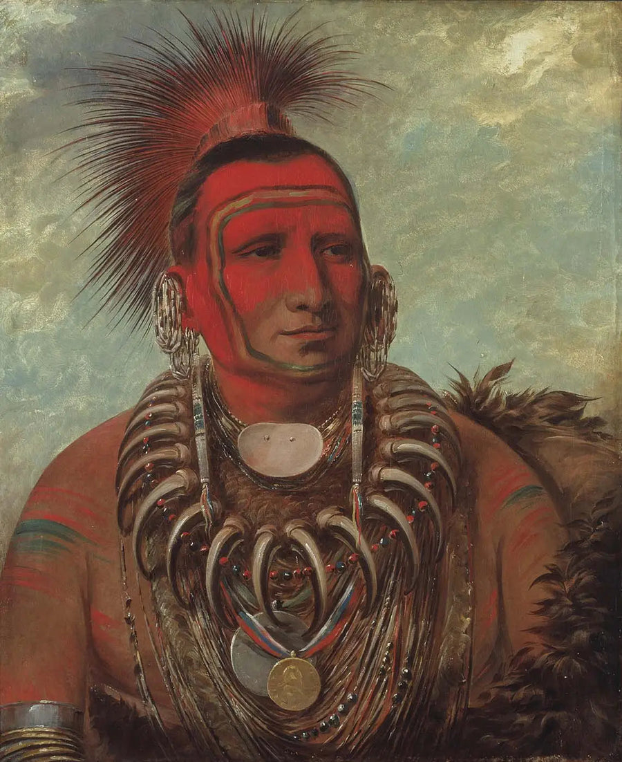 Shon-ta-yi-ga, Petit Loup, en berømt kriger - George Catlin

Source:
Shon-ta-yi-ga, Petit Loup, un célèbre guerrier - George Catlin