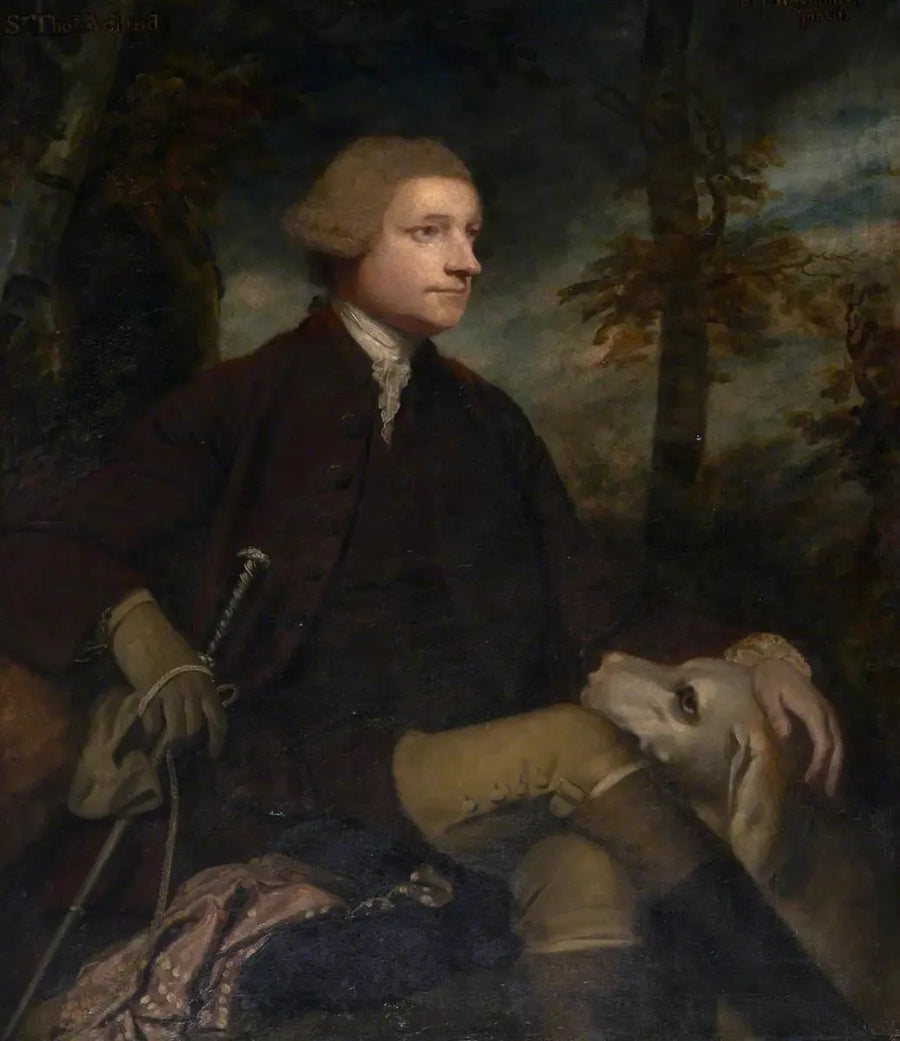 Sir Thomas Dyke Acland, 3./7. baronet Acland de Columb-John MP (1722-1785) - Joshua Reynolds