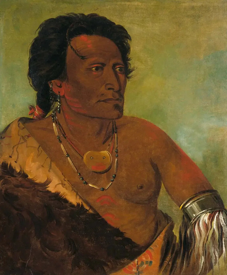 Sky-se-ró-ka, andre leder av stammen - George Catlin

Source:
Sky-se-ró-ka, deuxième chef de la tribu - George Catlin