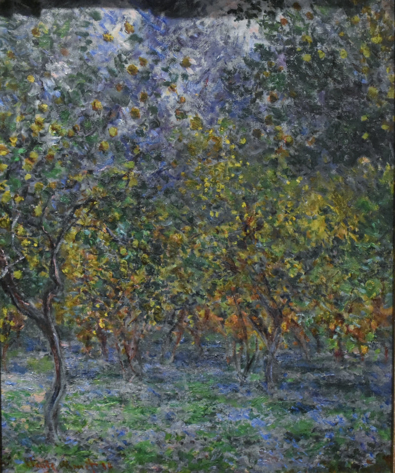 Under sitrontrærne - Claude Monet