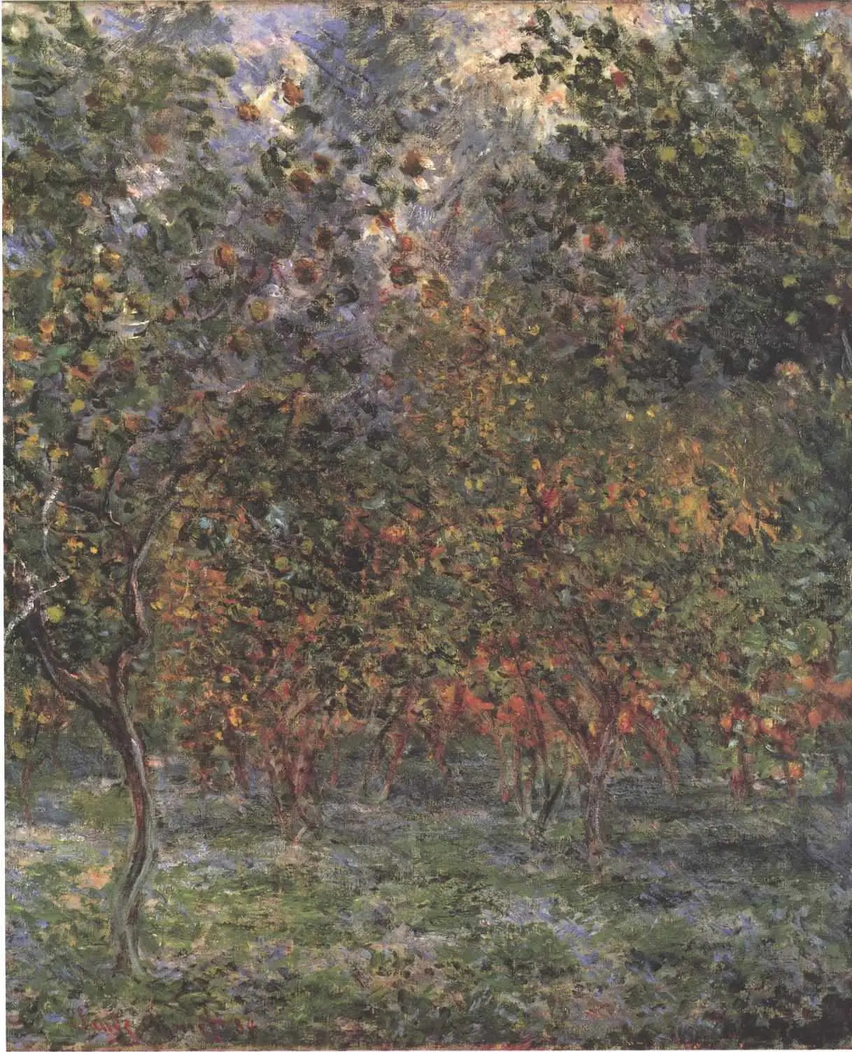 Sous les citrons - Claude Monet image 1 copie de tableau peinte à la main