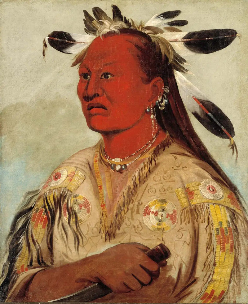 Stán-au-pat, Bloody Hand, stammeleder - George Catlin

Source:
Stán-au-pat, Bloody Hand, chef de la tribu - George Catlin