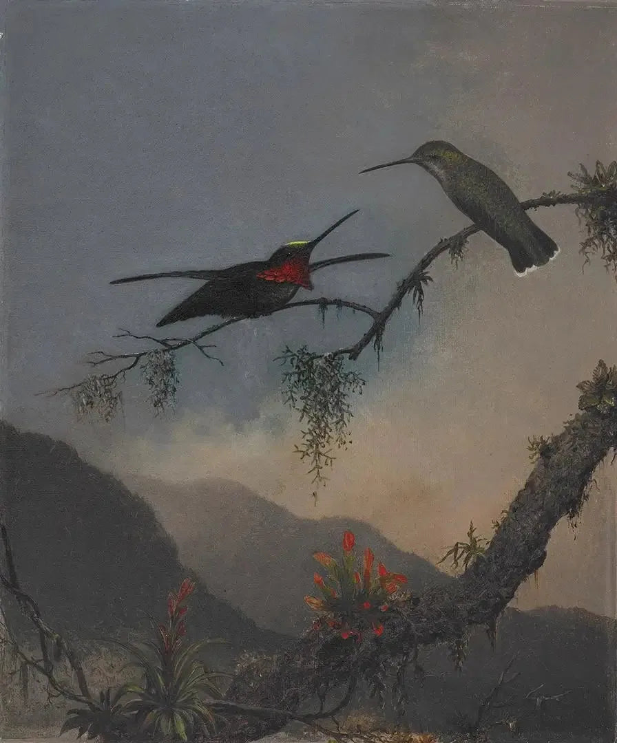 Starthroat med stripet bryst - Martin Johnson Heade

Source:
Starthroat à poitrine rayée - Martin Johnson Heade