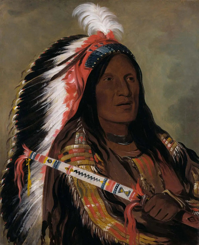 Táh-téck-a-da-háir, Vent raide, un brave du groupe Bad Arrow Points - George Catlin

Source:
Táh-téck-a-da-háir, Vent raide, un brave du groupe Bad Arrow Points - George Catlin