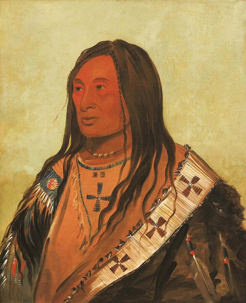 Táh-zee-keh-dá-cha, Ventre déchiré, en ærlig og utmerket mann - George Catlin

Source:
Táh-zee-keh-dá-cha, Ventre déchiré, un brave distingué - George Catlin
