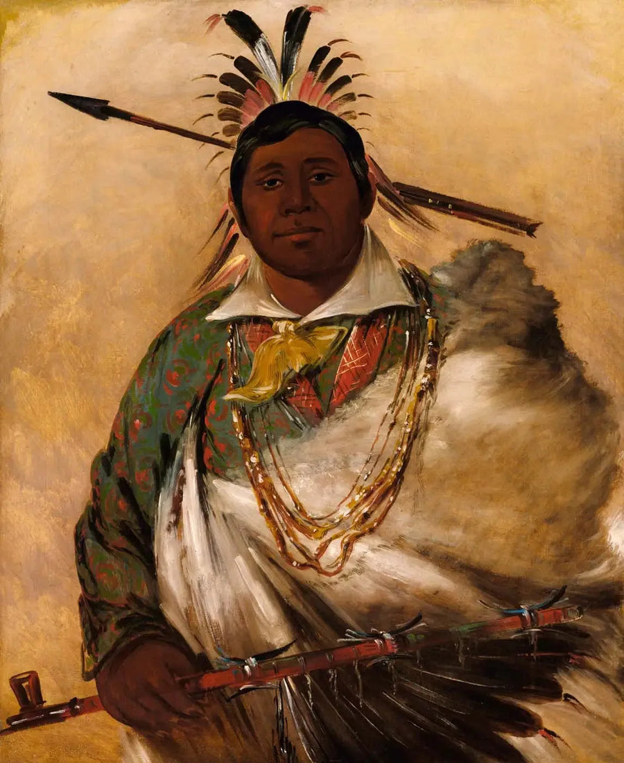 Téh-ke-néh-kee, svart frakk, en sjef - George Catlin

Source:
Téh-ke-néh-kee, manteau noir, un chef - George Catlin