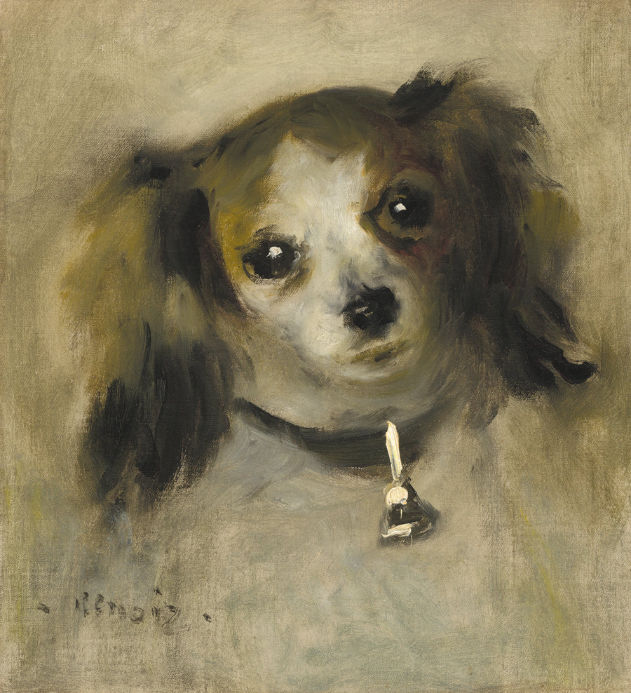 Hode av hund - Pierre-Auguste Renoir