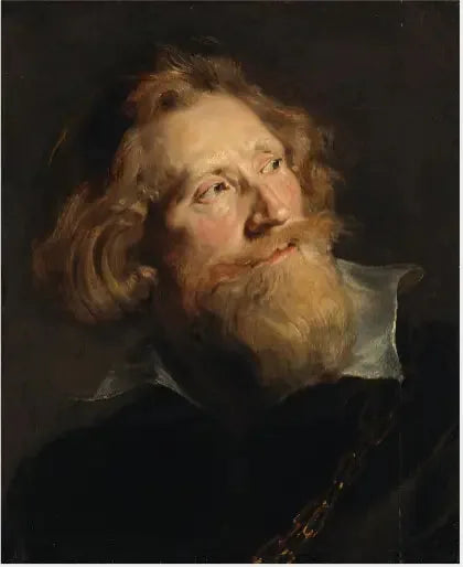 Skjegget mann hode - Peter Paul Rubens