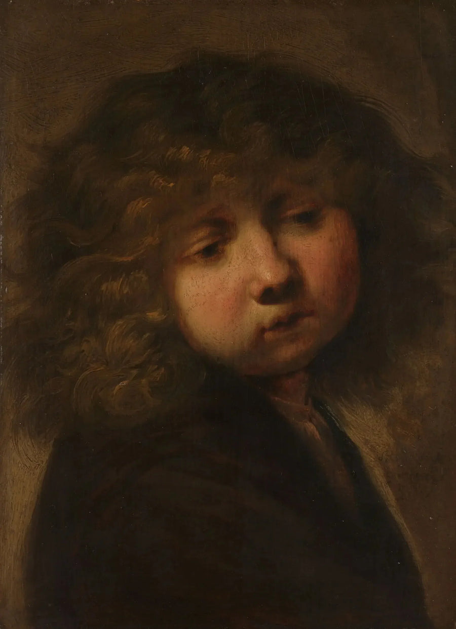 Hode av en gutt - Rembrandt