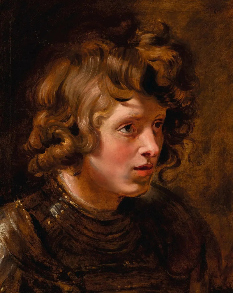 Hodet til en ung mann med rustning - Peter Paul Rubens