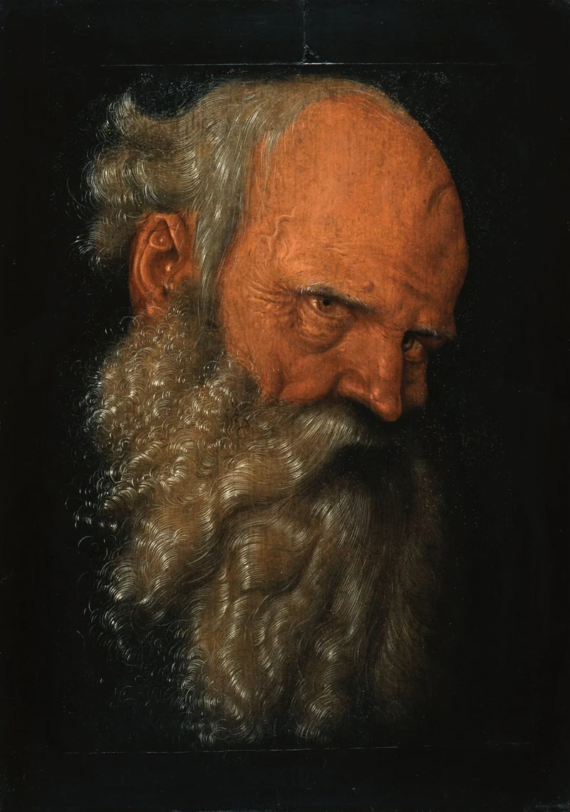 Hode av en gammel skjegget mann - Hans Baldung Grien