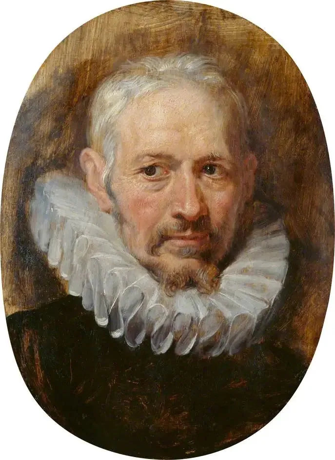En gammel manns hode - Peter Paul Rubens
