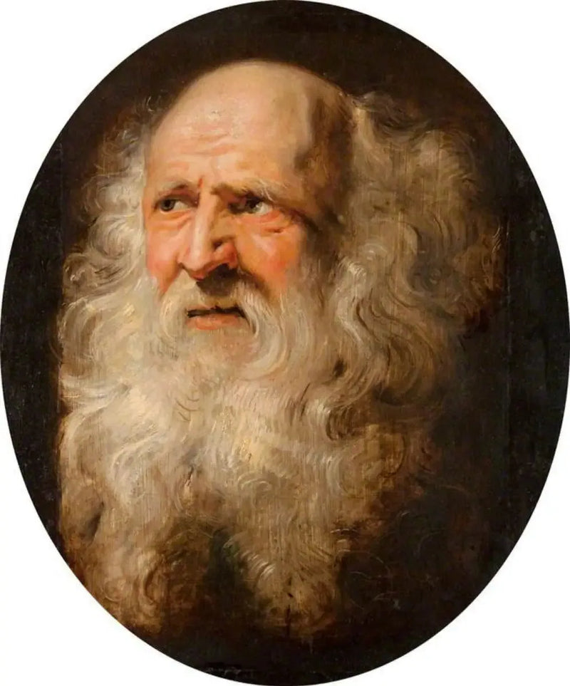 En gammel manns hode - Peter Paul Rubens