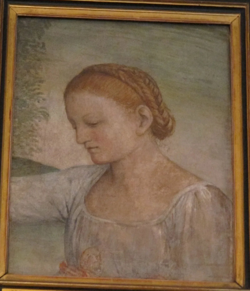 Hode av en jente - Bernardino Luini