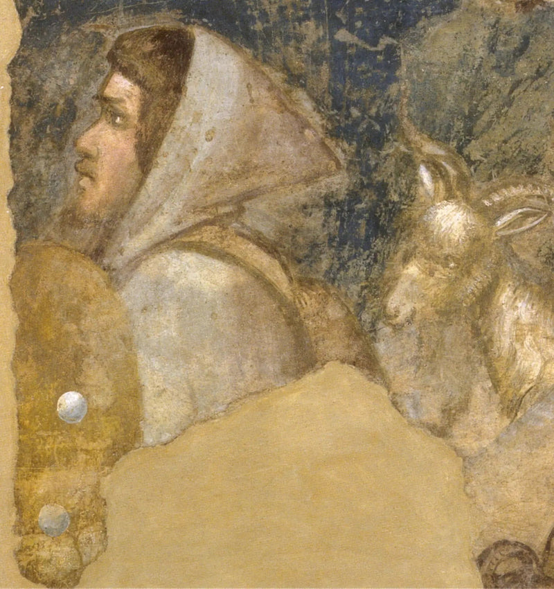 Hode av gjeter - Giotto