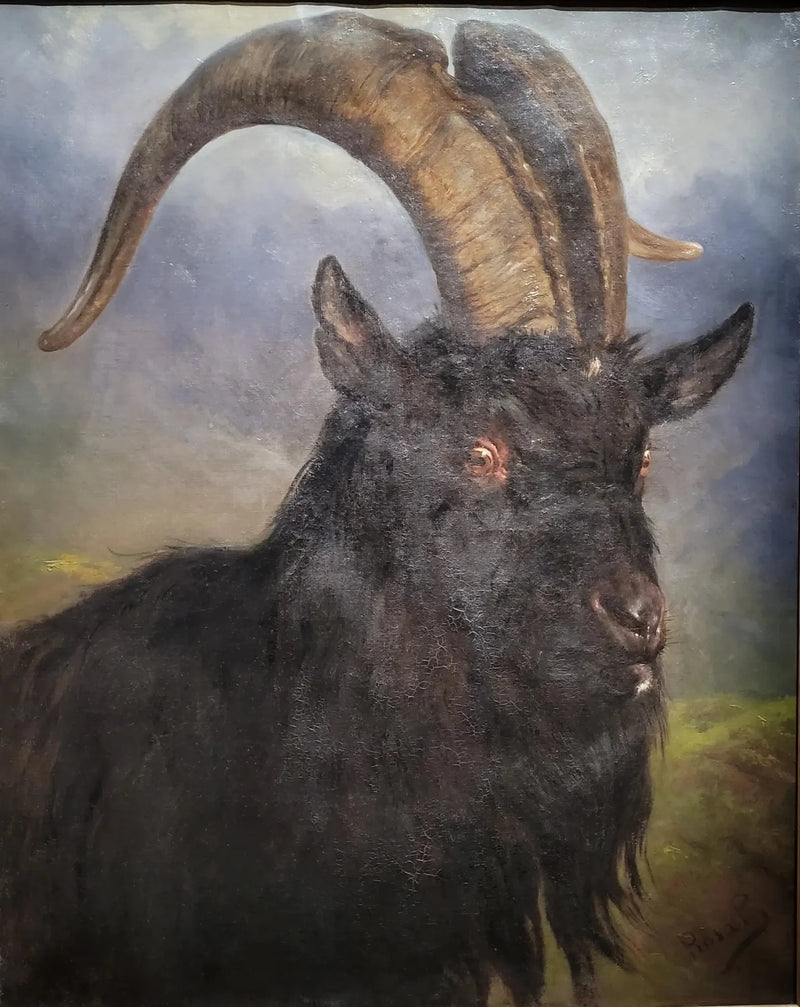 Geitehode - Rosa Bonheur