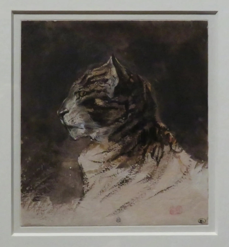 Kattens hode - Eugène Delacroix