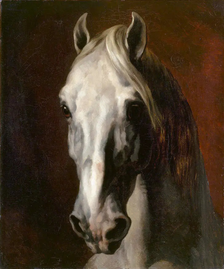 Hvit hest hode - Théodore Géricault