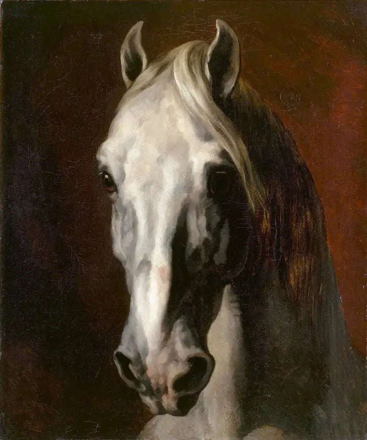 Hvit hest hode - Théodore Géricault
