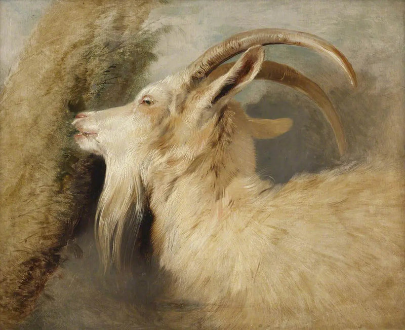 Geitehode - Edwin Henry Landseer

Source:
Tête de chèvre - Edwin Henry Landseer